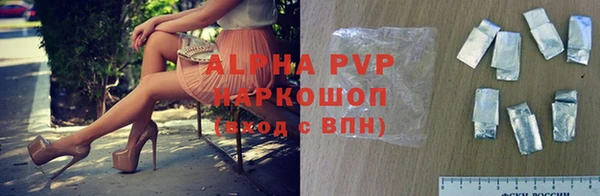 эйфоретик Богданович