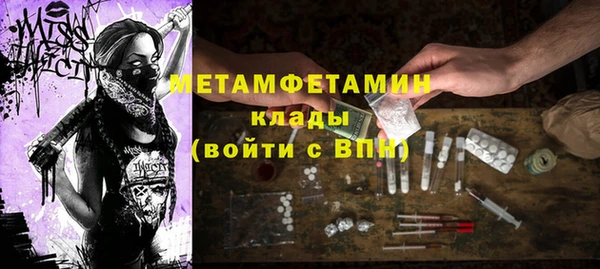 индика Козловка
