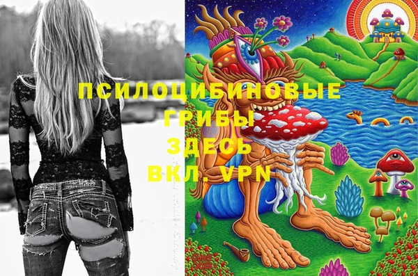 jwh Белокуриха